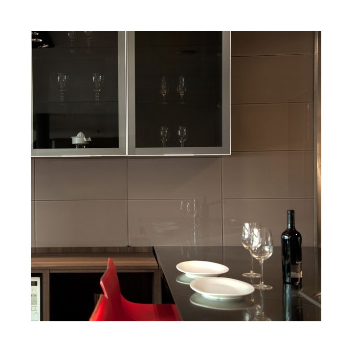 Visón Brillante 30x60 | Crisarte