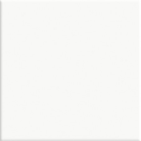 Branco Brillante 20x20 1ra. Cal. - Caja por 1.69m²| Ceral