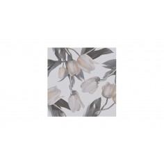 Dolce Floral Tulipan 15x15 Caja x 15 Pz. - Piu